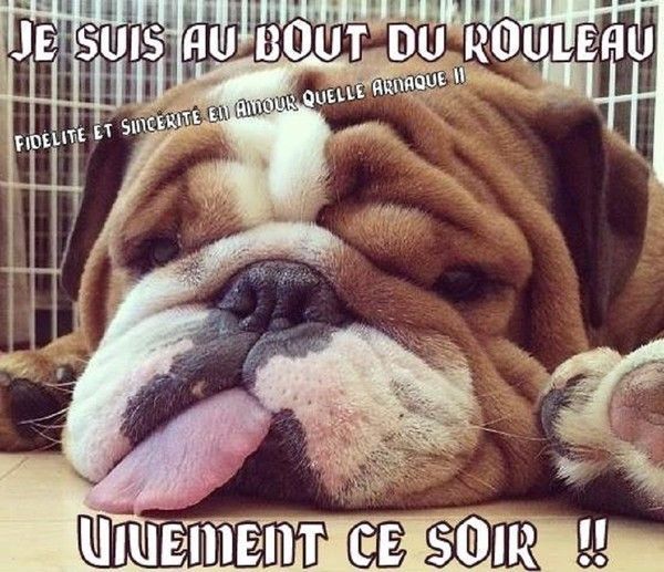 je-suis-au-bout-du-rouleau-vivement-ce-soir