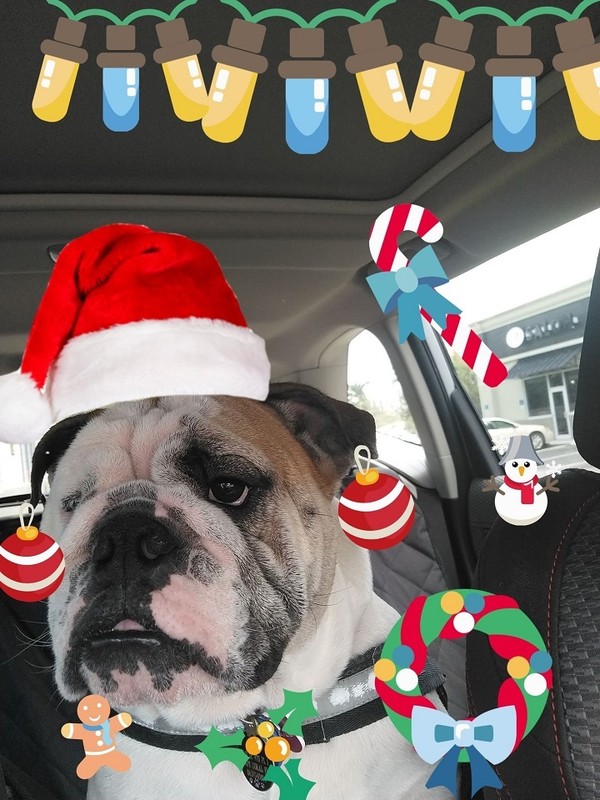 En route pour les vacances de Noël!   ...