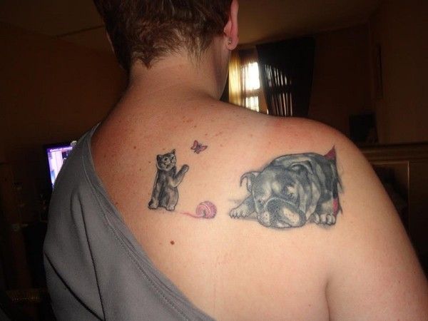 Sagement couché sur l'épaule pendant que minou chahute...