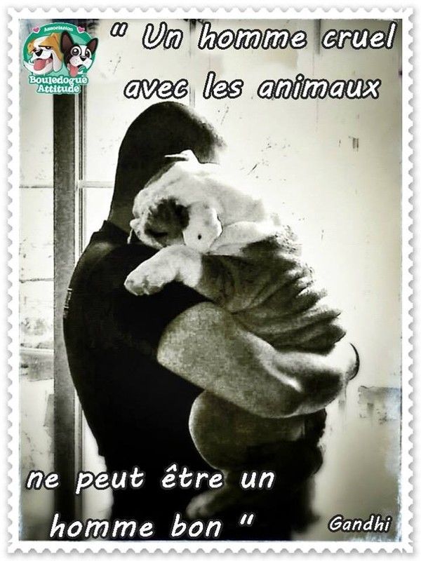 "Un homme cruel avec les animaux ne peut être..."...