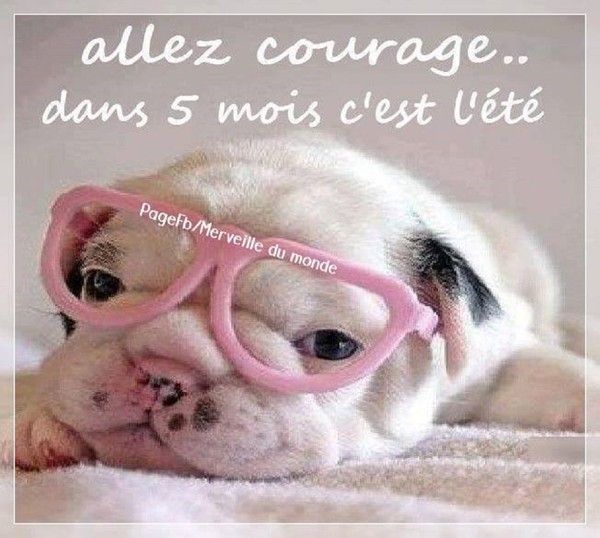 "Allez courage... Dans 5 mois c'est l'été" ...