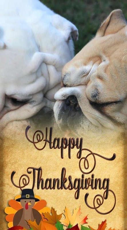 "Happy Thanksgiving" - Ma Créa   ...