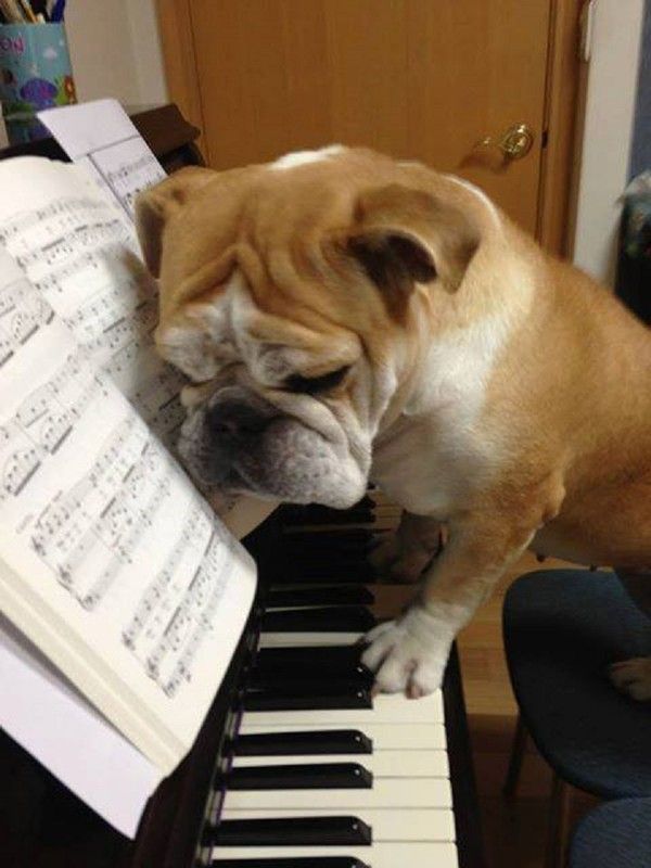 Aujourd'hui, je m'attaque à Chopin ;) ...