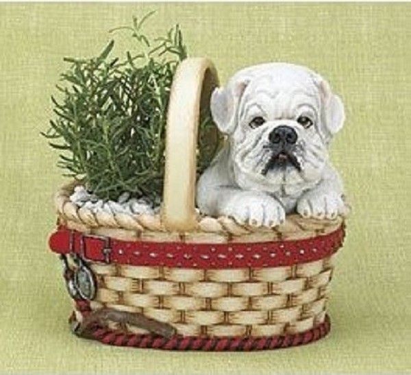 Cache-pot pour petite plante...