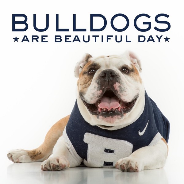 National bulldogs day