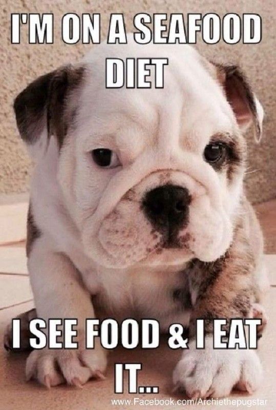 "I'm on a seafood diet: I see food & I eat it..." ...