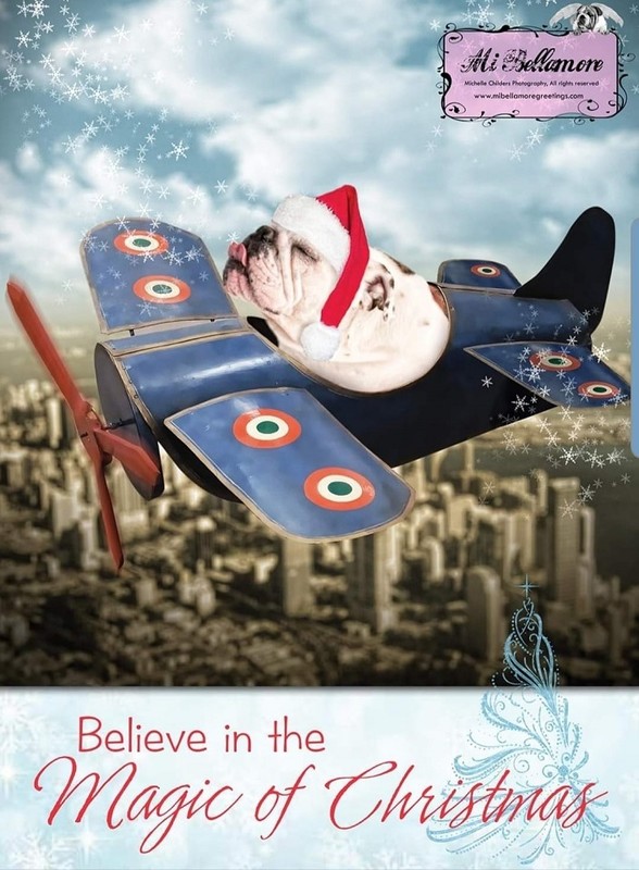 "Believe in the Magic of Christmas"   ...