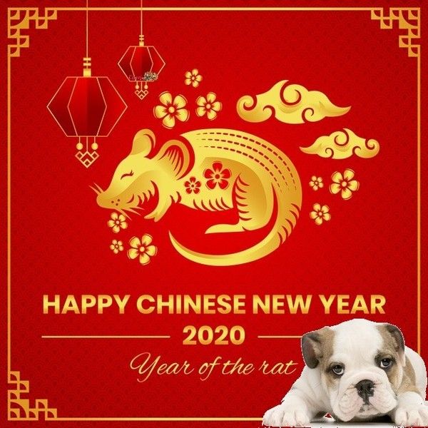 KDO pour qui le souhaite, MA CREA ...