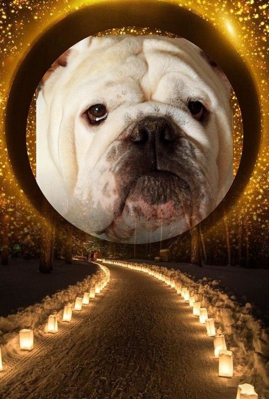 La route qui nous mène l'un à l'autre   ...