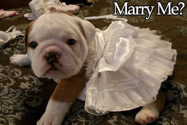 "Marry Me?" - Epouse-moi? ...