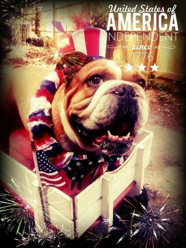 "United States of America independent since 1776"