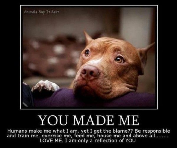 "You made me" - "Tu m'as fait"...