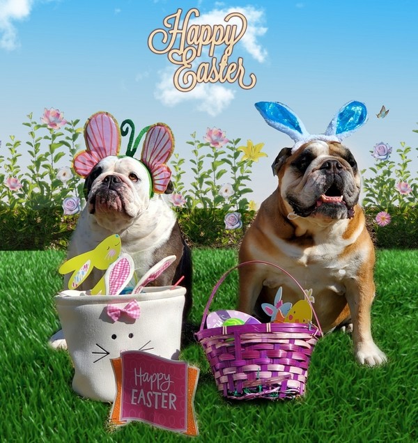 "Happy Easter" - Une très bonne récolte   ...