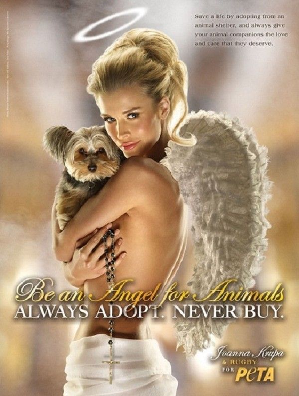 "Always adopt. Never buy" - Adoptez. N'achetez pas...