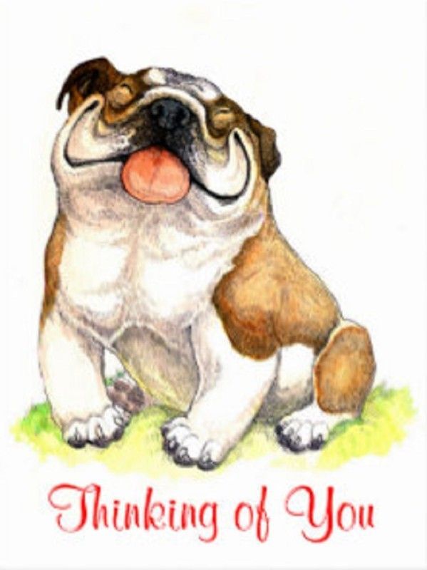 "Thinking of you" - Pensant à toi ...