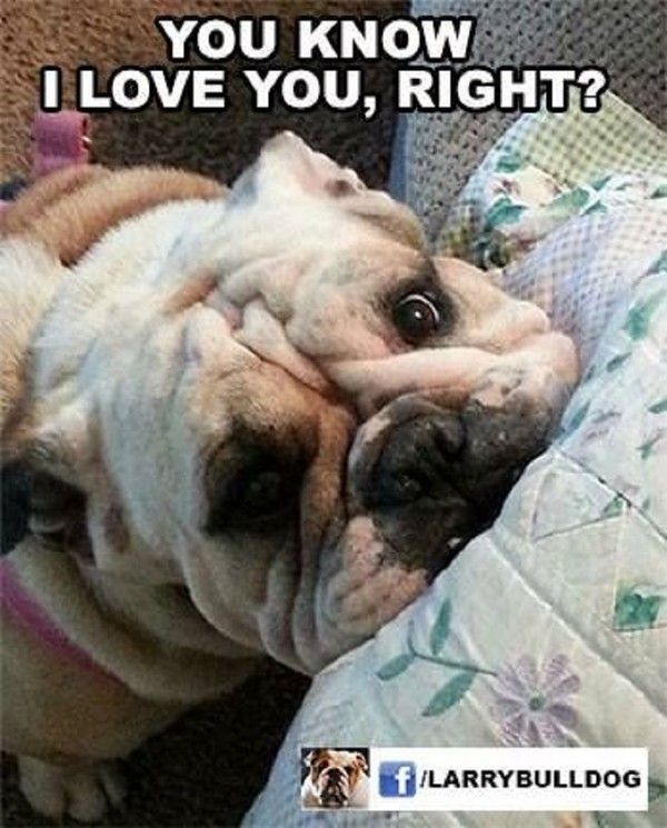 "You know I love you, right?" ...