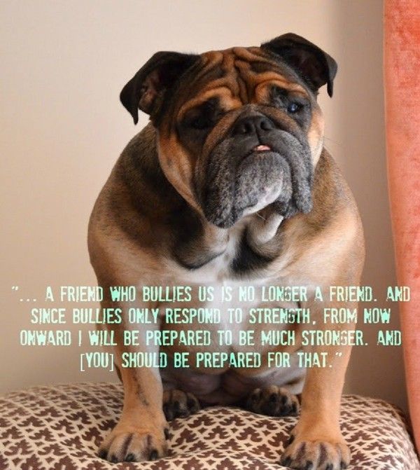 "... A friend who bullies us is no longer a friend. ..." ...
