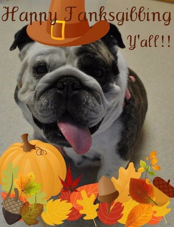 "Happy Tanksgibbing Y'all!!"...