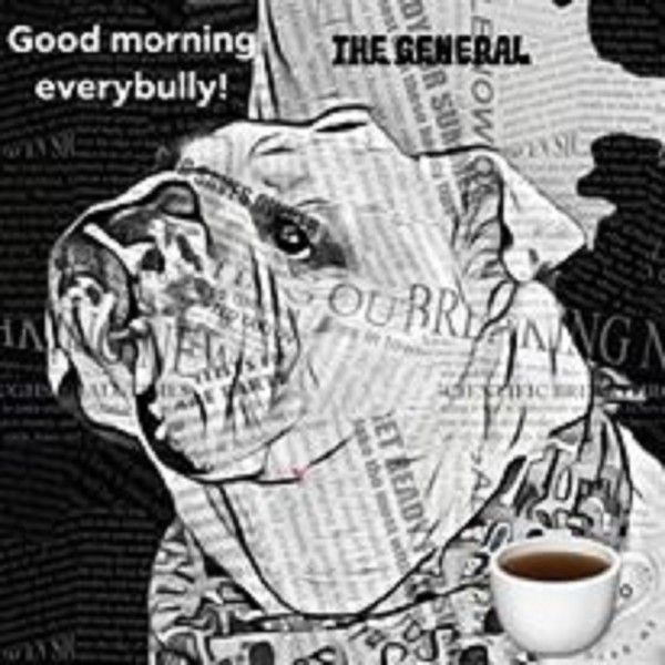 Coupures de presse "Good morning everybully!" ...