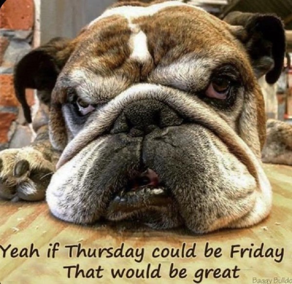 "Yeah if Thursday could be Friday that would be great"