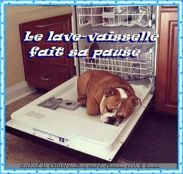 "Le lave-vaisselle fait sa pause"...