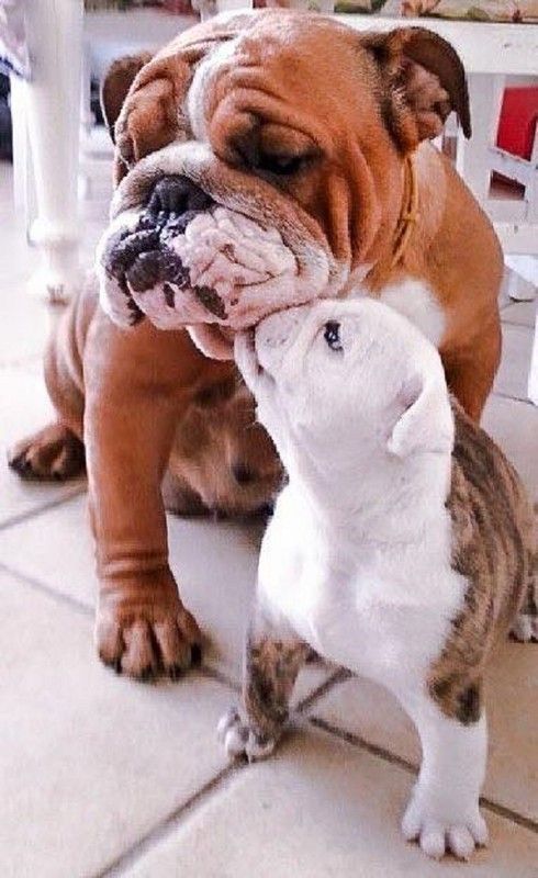 Tu viens jouer, dis, Maman?! ...