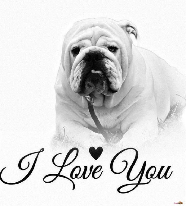"I Love You" - En noir et blanc   ...