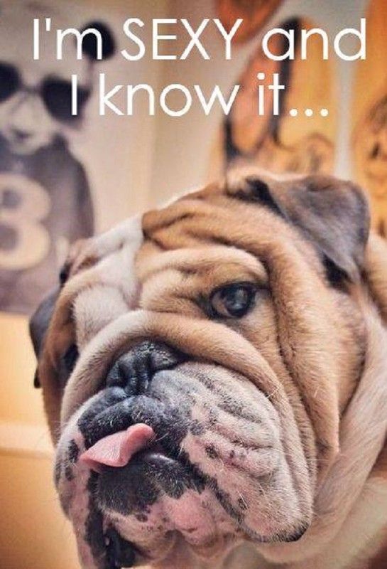 "I'm sexy and I know it..." - En tirant la langue ...