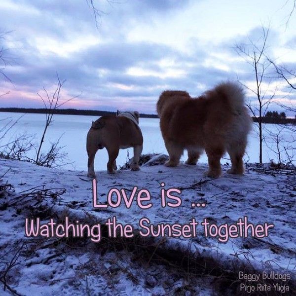 "Love is... Watching the sunset together" ...