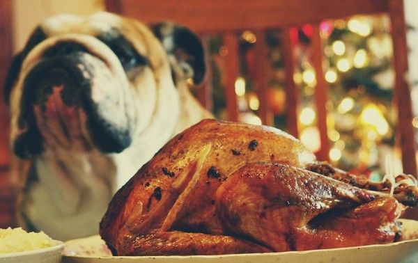 Retenezmoi ou je fais un malheur!!! P