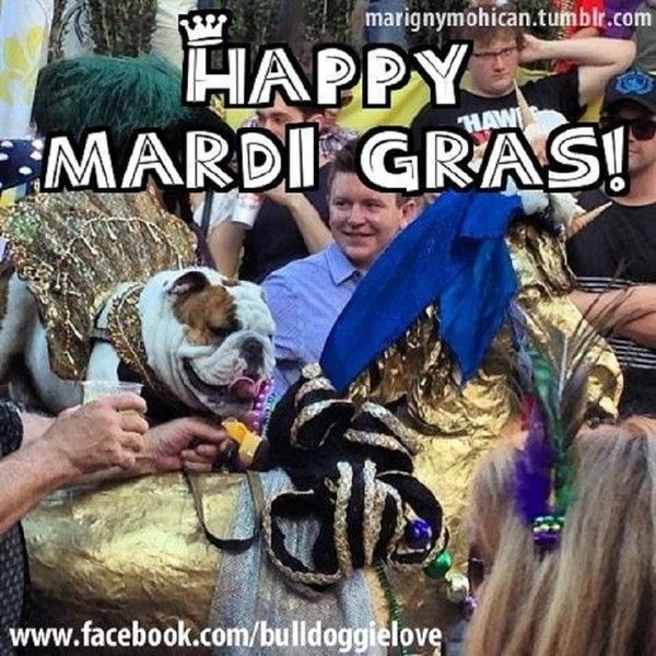 "Happy Mardi Gras!" - "Joyeux Mardi Gras!" ...