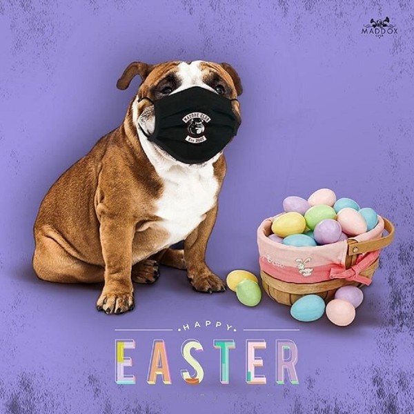 "Happy Easter" - Masqué(e), à l'image de cette année   ...