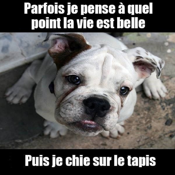 "Parfois je pense à quel point la vie est belle..."...