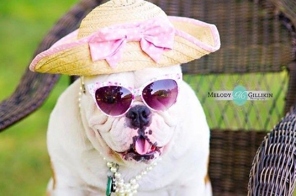 Look "Chic et classe" ...