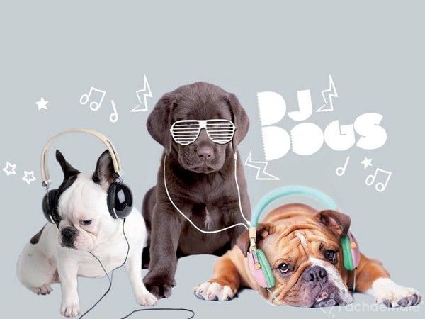 Par Rachael HALE "Dj Dogs" ...
