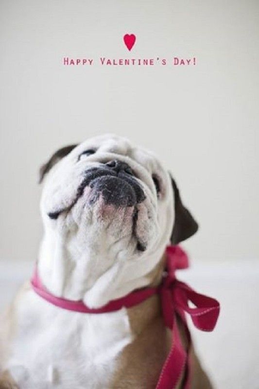 "Happy Valentine's Day!" - Un ruban rouge...
