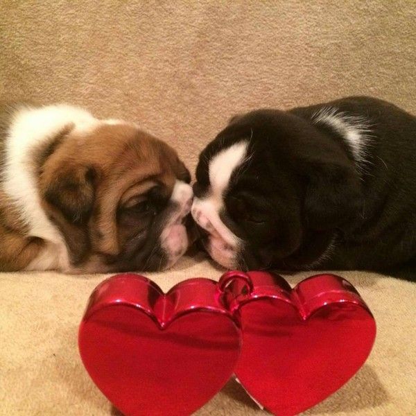 Tout jeunes et pourtant ...