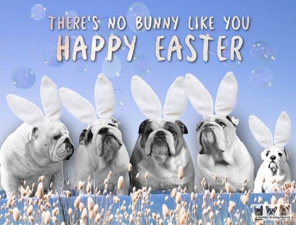 "There's no bunny like you Happy Easter"    ...