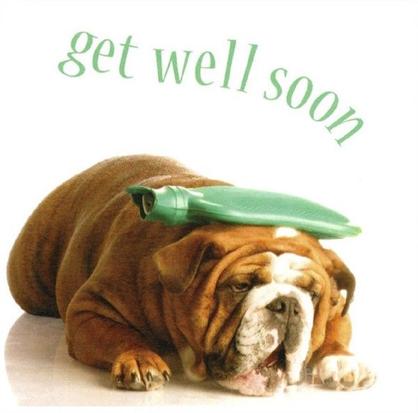 Get Well Soon Bon Retablissement