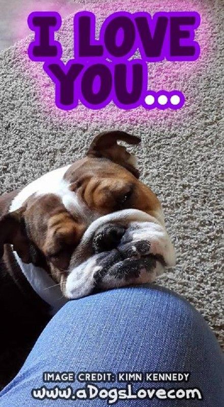 "I love you..." - Je t'aime ... Du regard ...