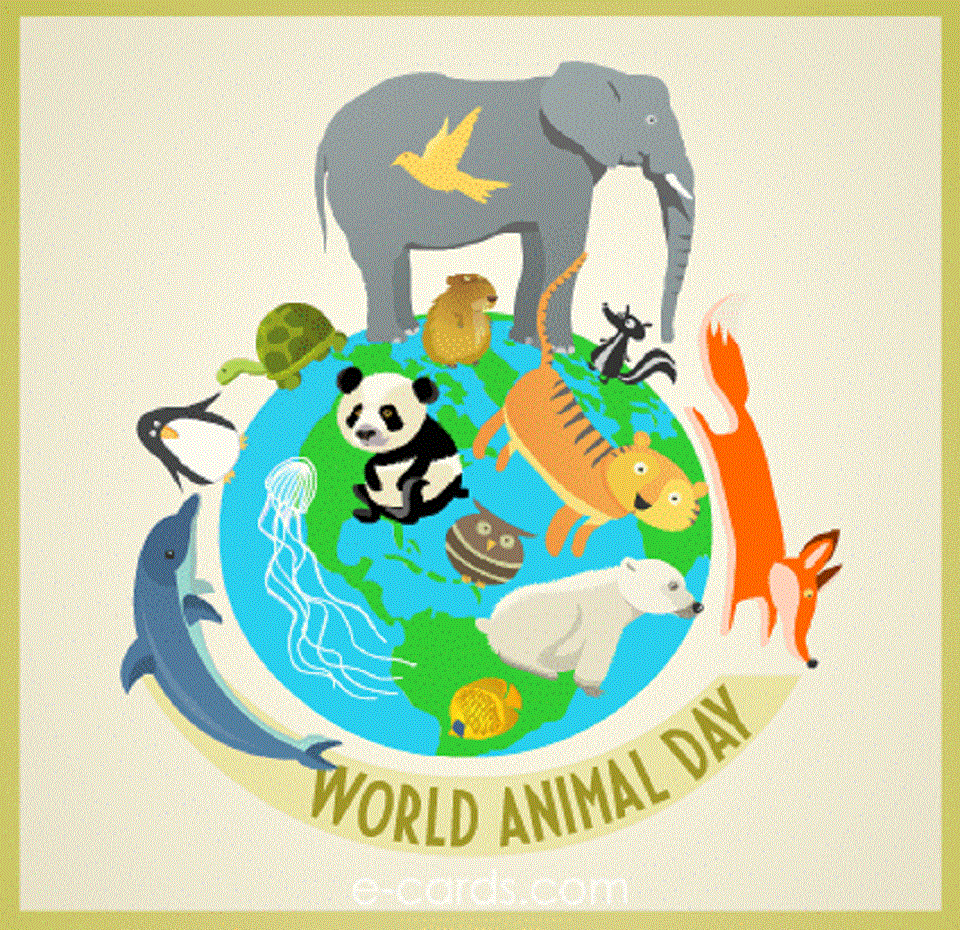 "World Animal Day"