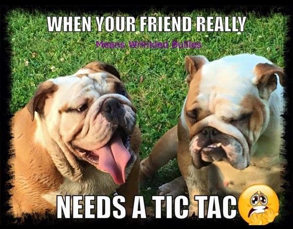 "When your friend really needs a tic tac" ...