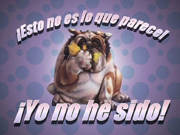 "Esto no es lo que parece! Yo no he sido!"...