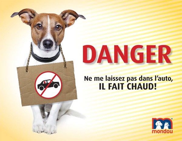 "DANGER. Ne me laissez pas dans l'auto, IL FAIT CHAUD!"