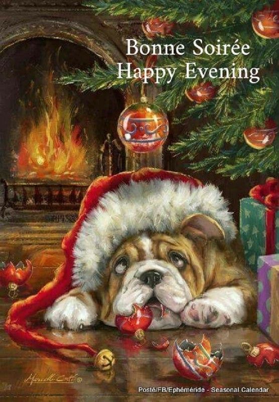 "Bonne soirée. Happy Evening" - Des boules de Noël  ...