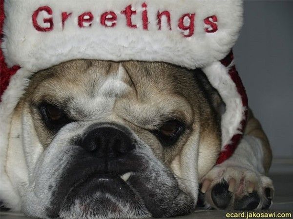 "Greetings" - Tous mes voeux ...