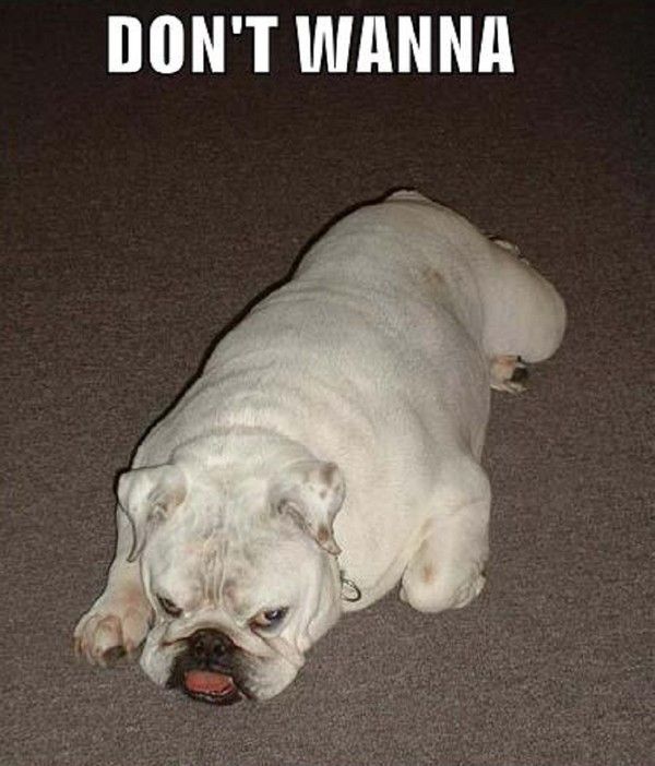 "Don't wanna" - Pas question ...