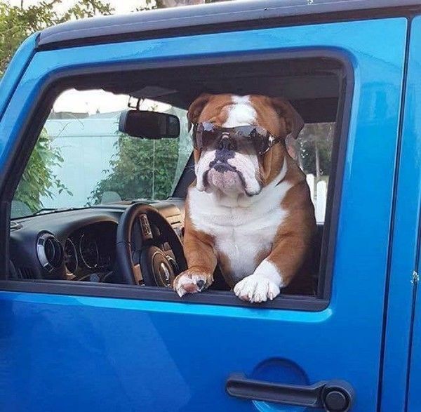 Paré(e) au départ ...