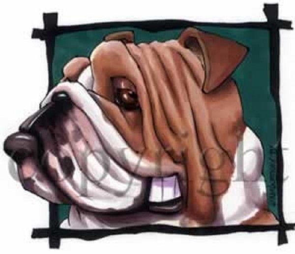 Le faciès souriant du bulldog...