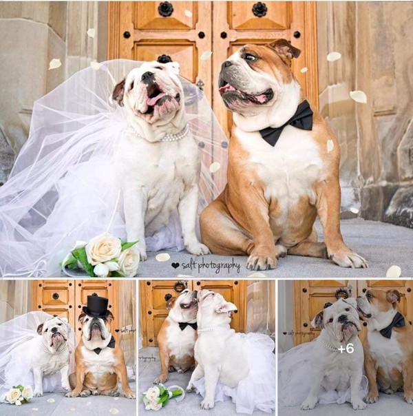 Un beau mariage pour un très beau couple ...